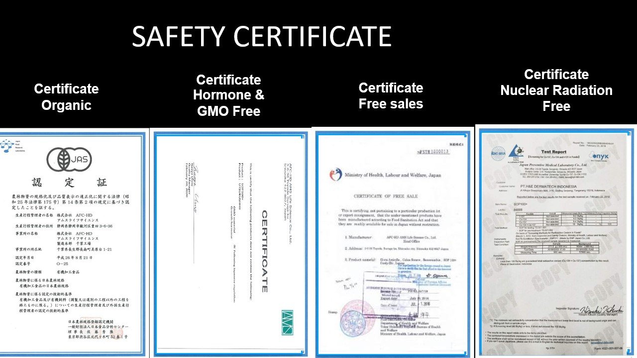 Safety Certificates