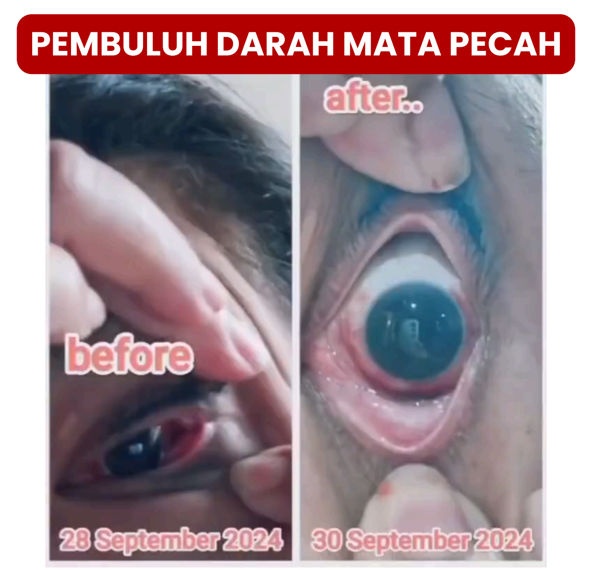 Success story screenshot